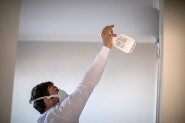 Professional Mold Removal in La Vale, MD